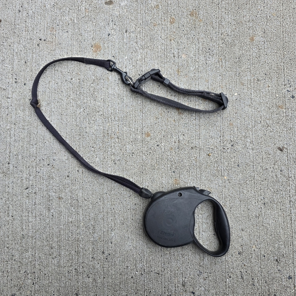 Extendable Dog Leash